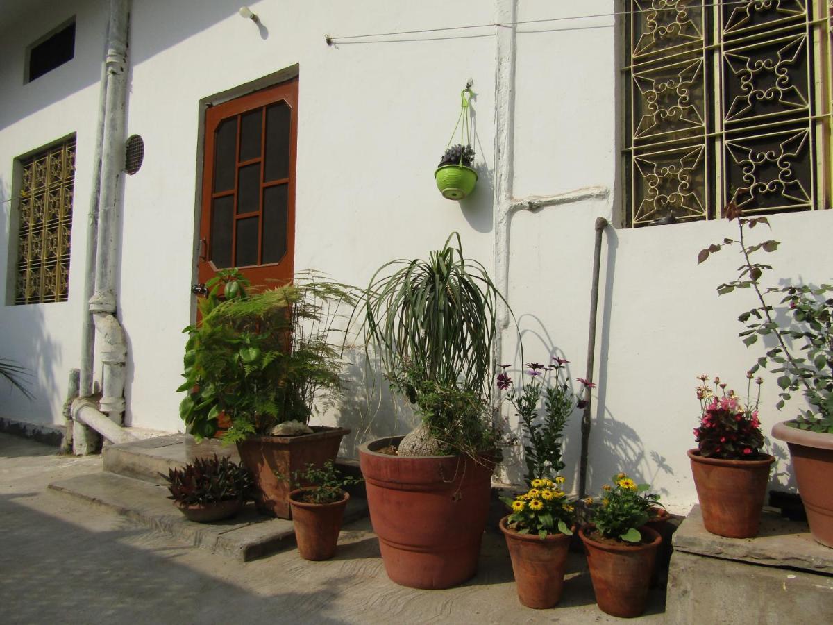 Nadya Homestay For Female & Family Jaipur Eksteriør bilde
